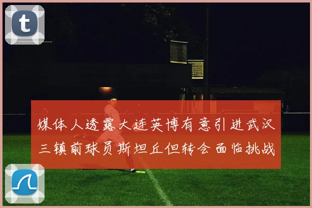 媒体人透露大连英博有意引进武汉三镇前球员斯坦丘但转会面临挑战