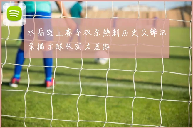 水晶宫上赛季双杀热刺历史交锋记录揭示球队实力差距