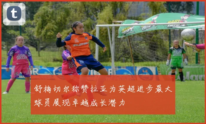 舒梅切尔称赞拉亚为英超进步最大球员展现卓越成长潜力