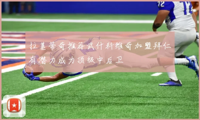 拉基蒂奇推荐武什科维奇加盟拜仁有潜力成为顶级中后卫