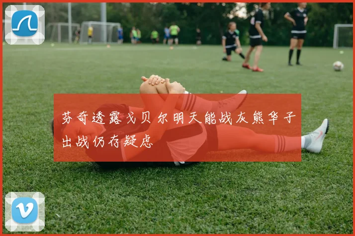 芬奇透露戈贝尔明天能战灰熊华子出战仍存疑虑