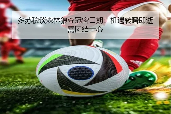 多苏穆谈森林狼夺冠窗口期：机遇转瞬即逝 需团结一心（jiangnan）